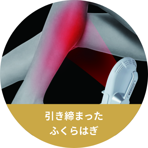 引き締まったふくらはぎ